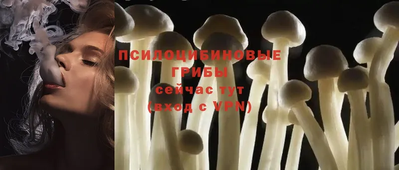 Галлюциногенные грибы MAGIC MUSHROOMS  Баксан 